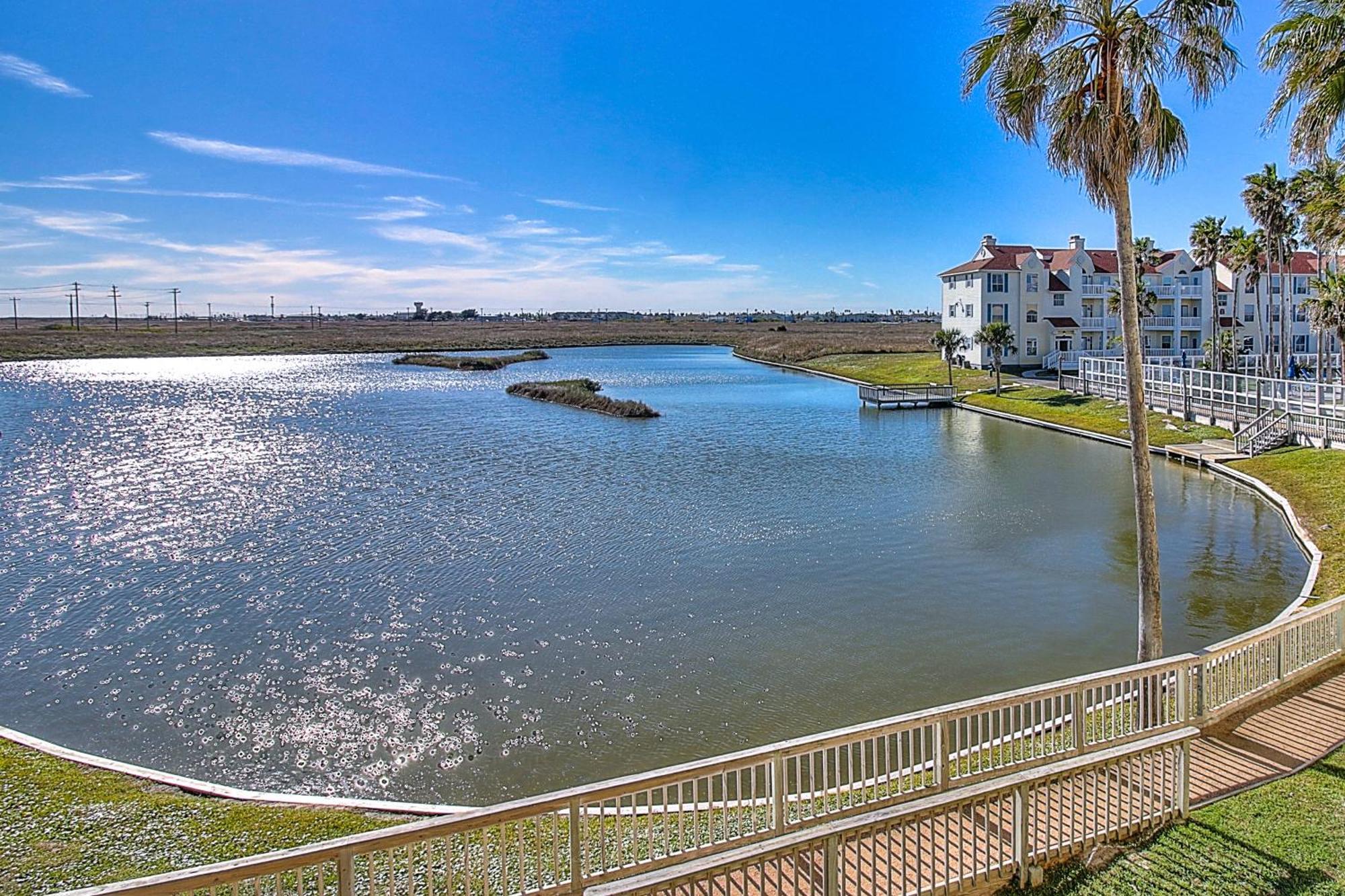 Beach Club Condos II Corpus Christi Room photo